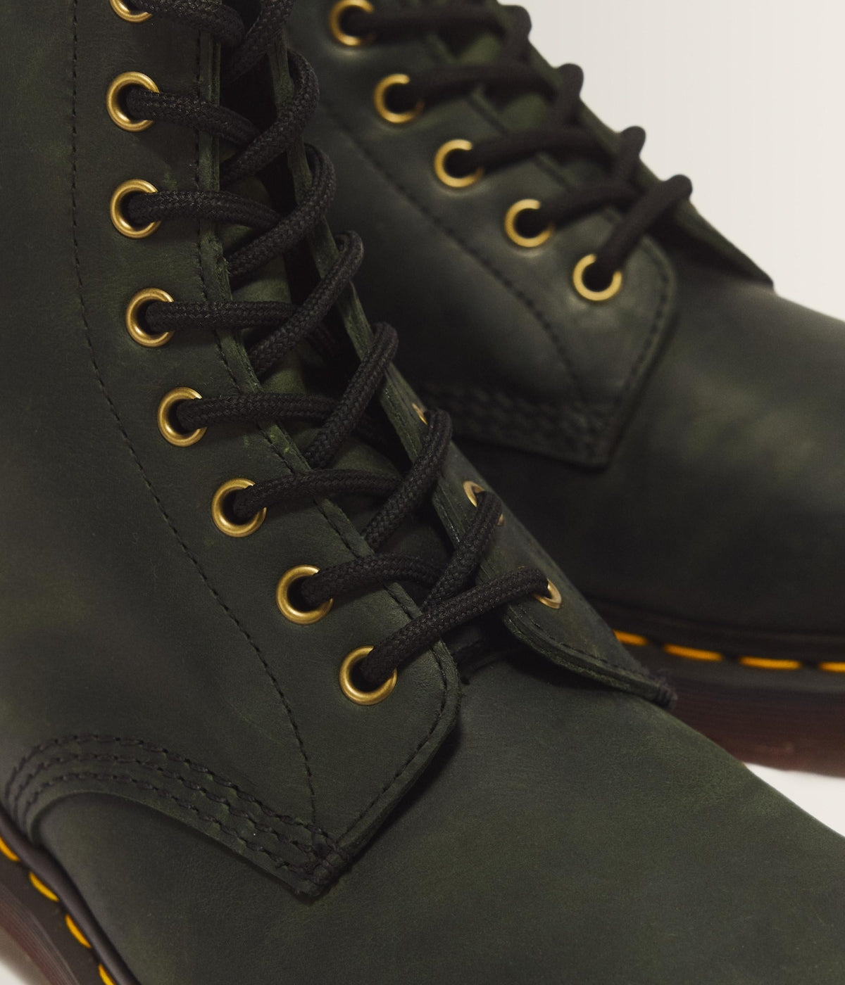 #color_Dms Green
