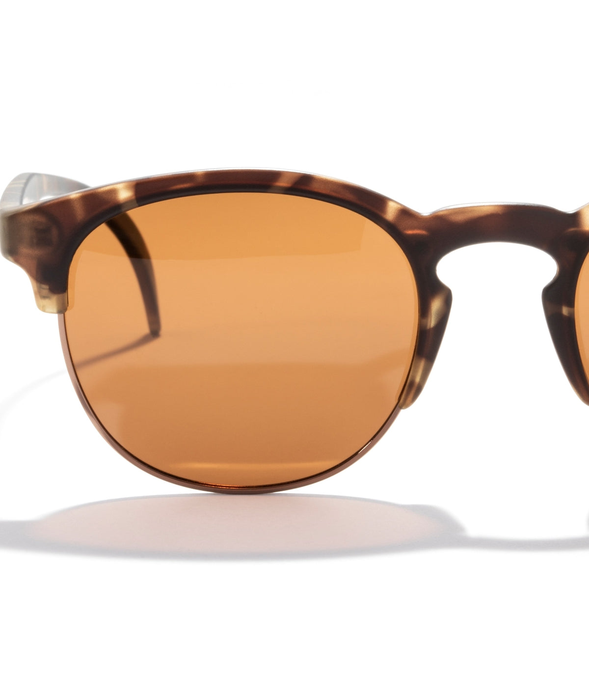 #color_Tortoise Amber