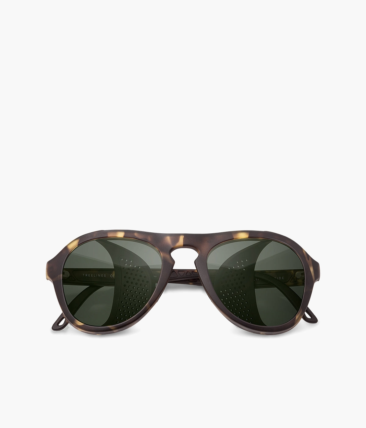 #color_Tortoise Forest