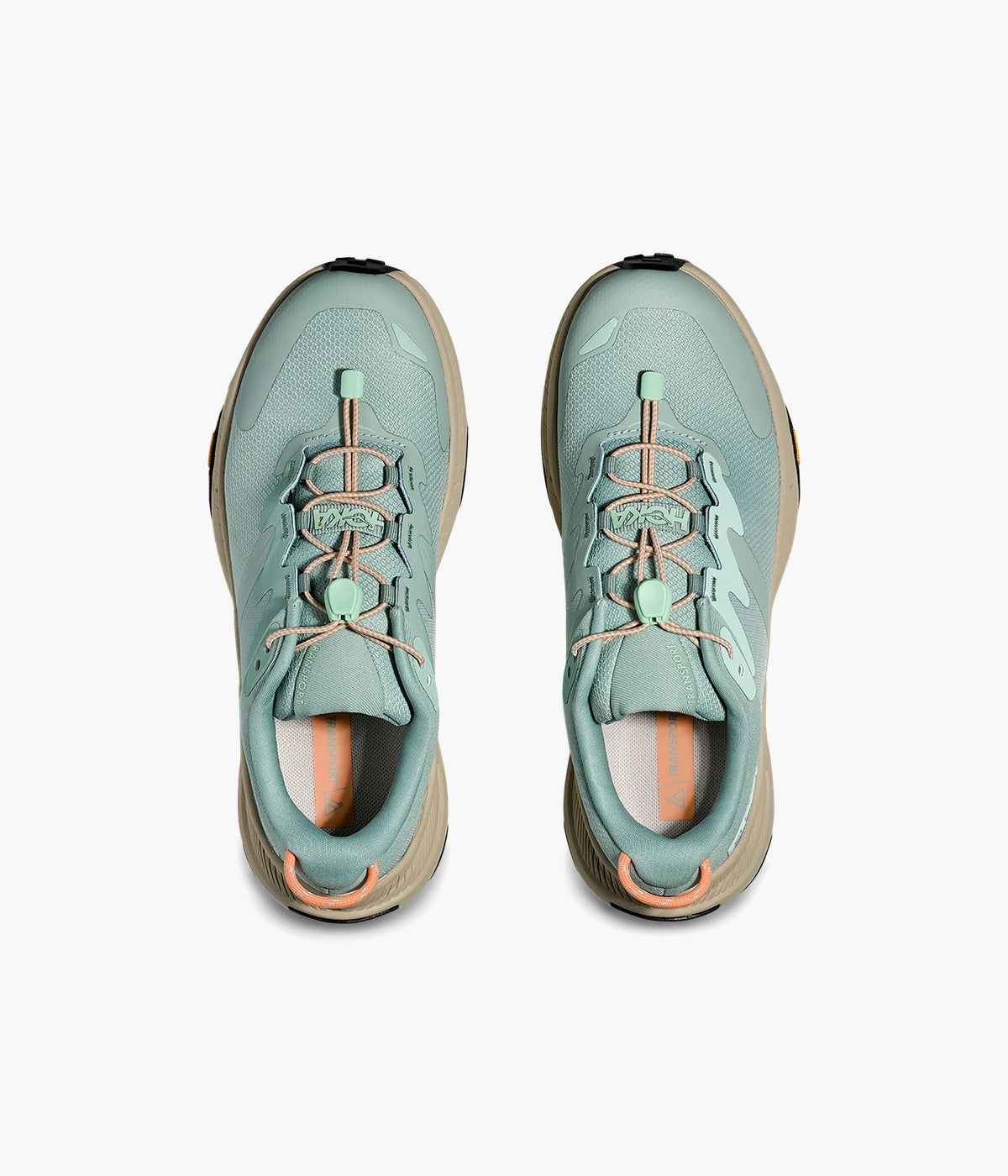 #color_Jade / Oyster Mushroom