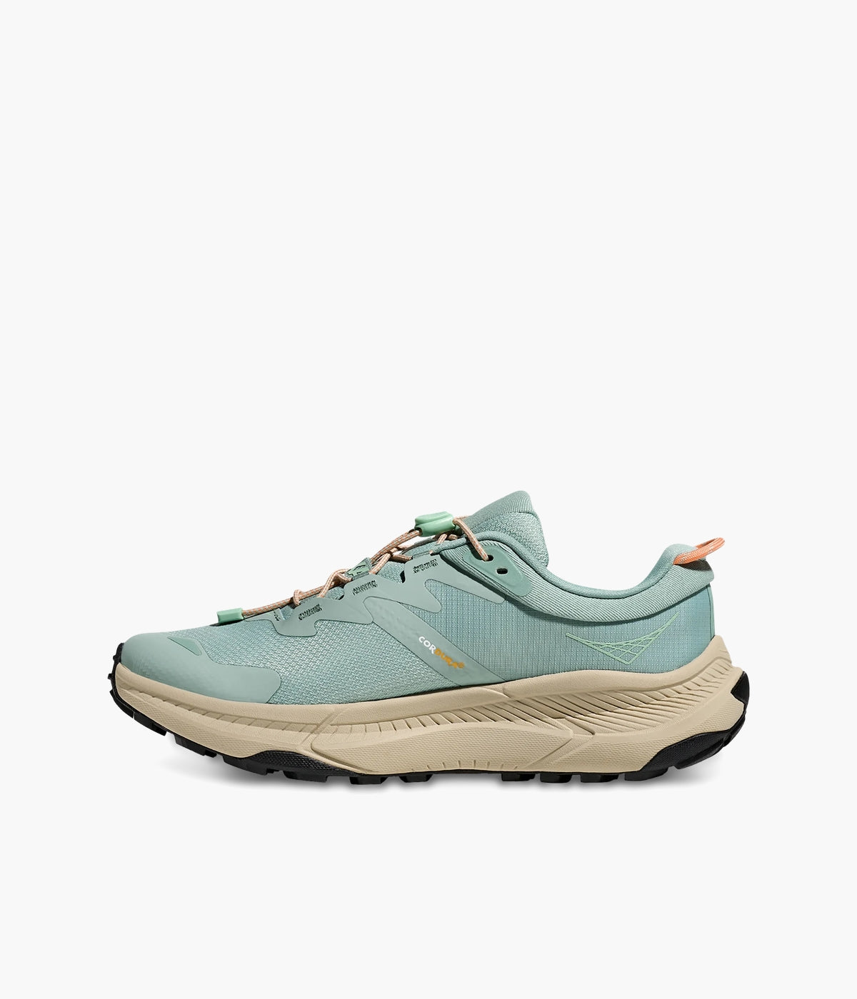 #color_Jade / Oyster Mushroom