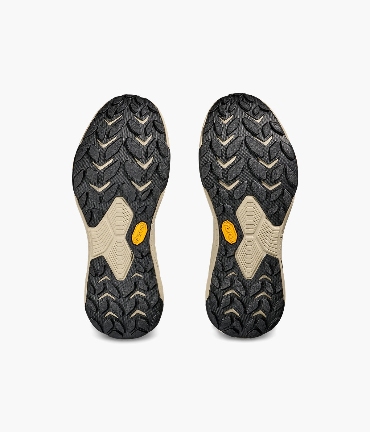 #color_Jade / Oyster Mushroom