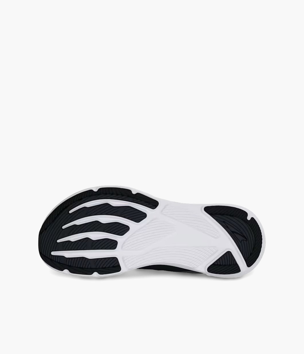 #color_Black / White