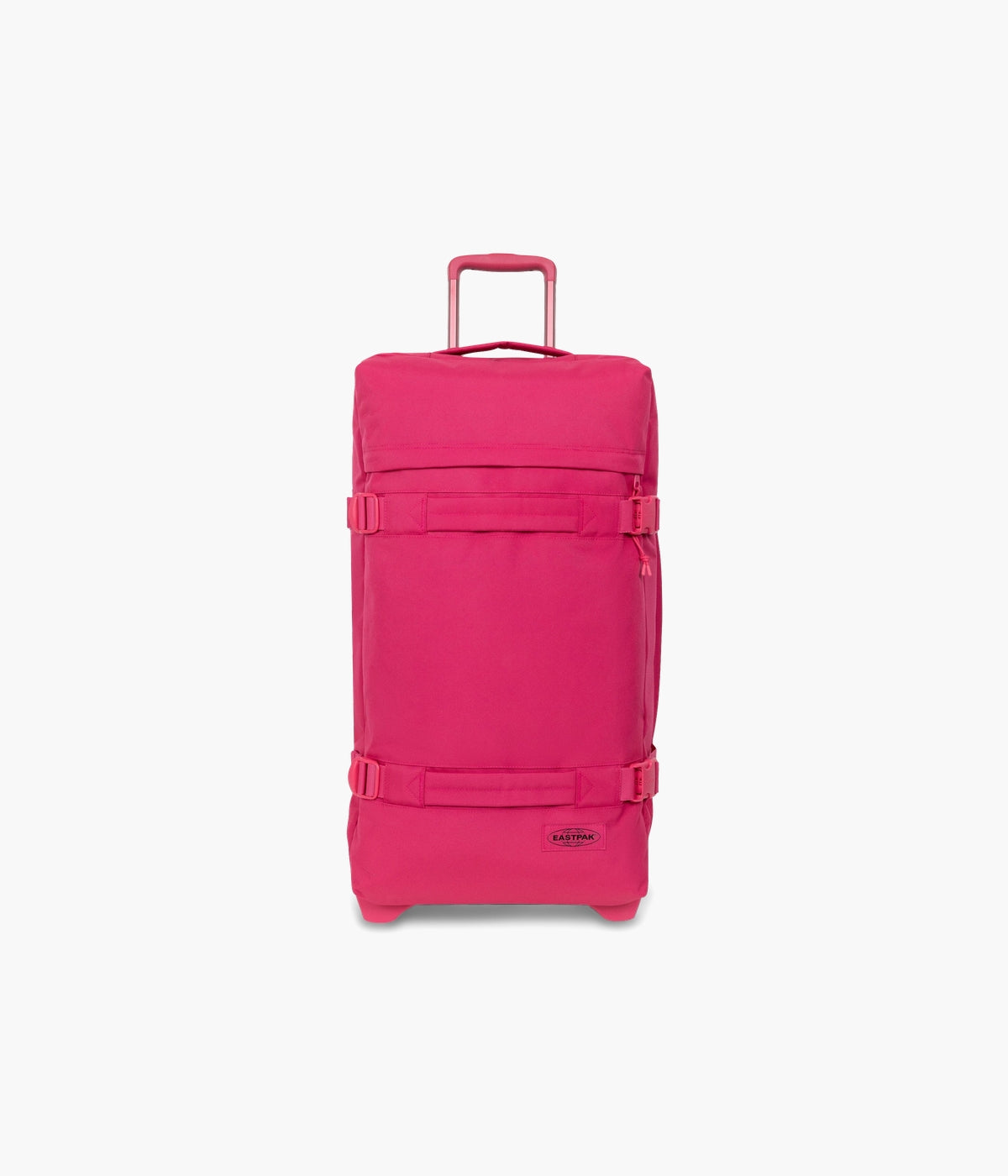 #color_Monotone Pink