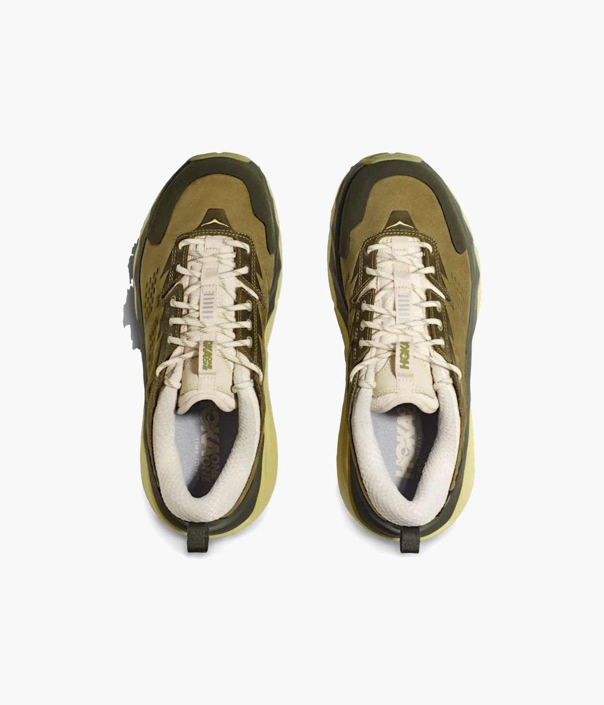 #color_Fennel / Eggnog