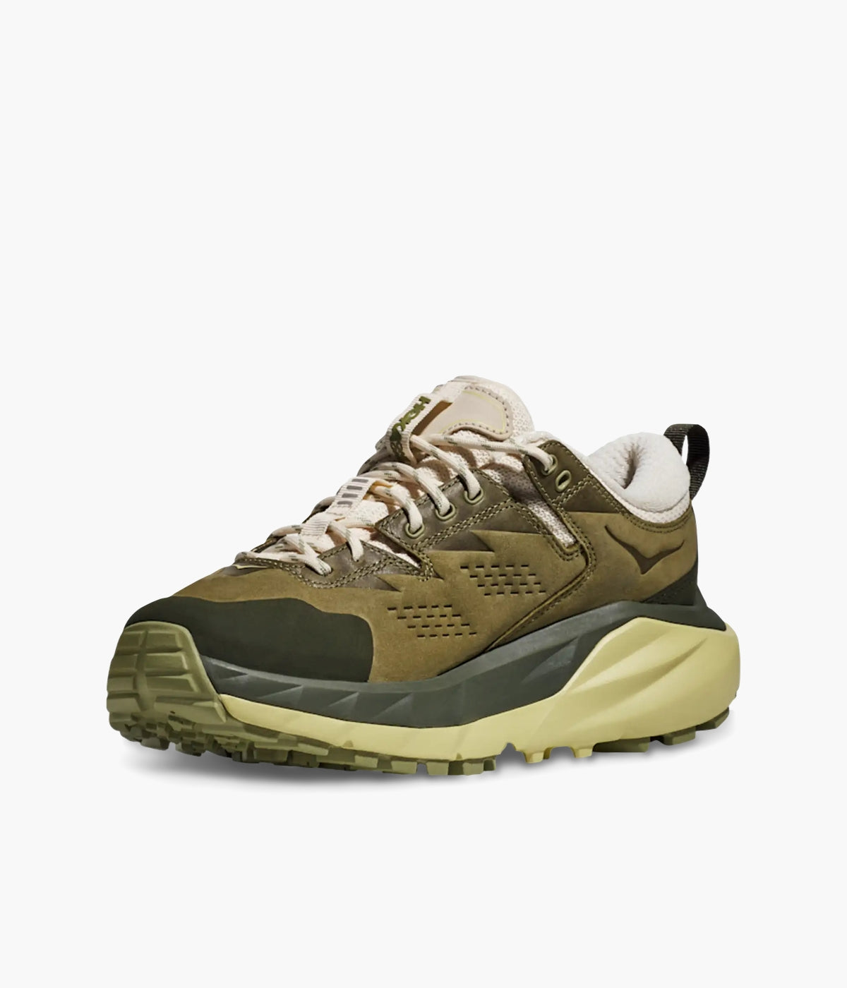 #color_Fennel / Eggnog