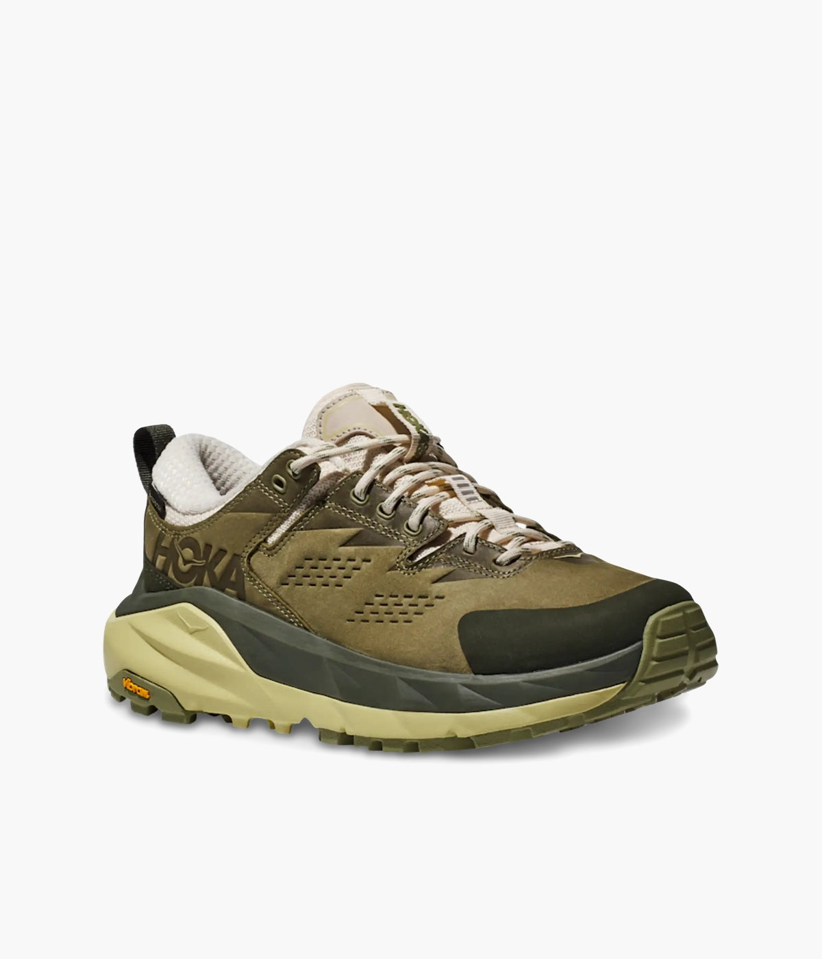 #color_Fennel / Eggnog