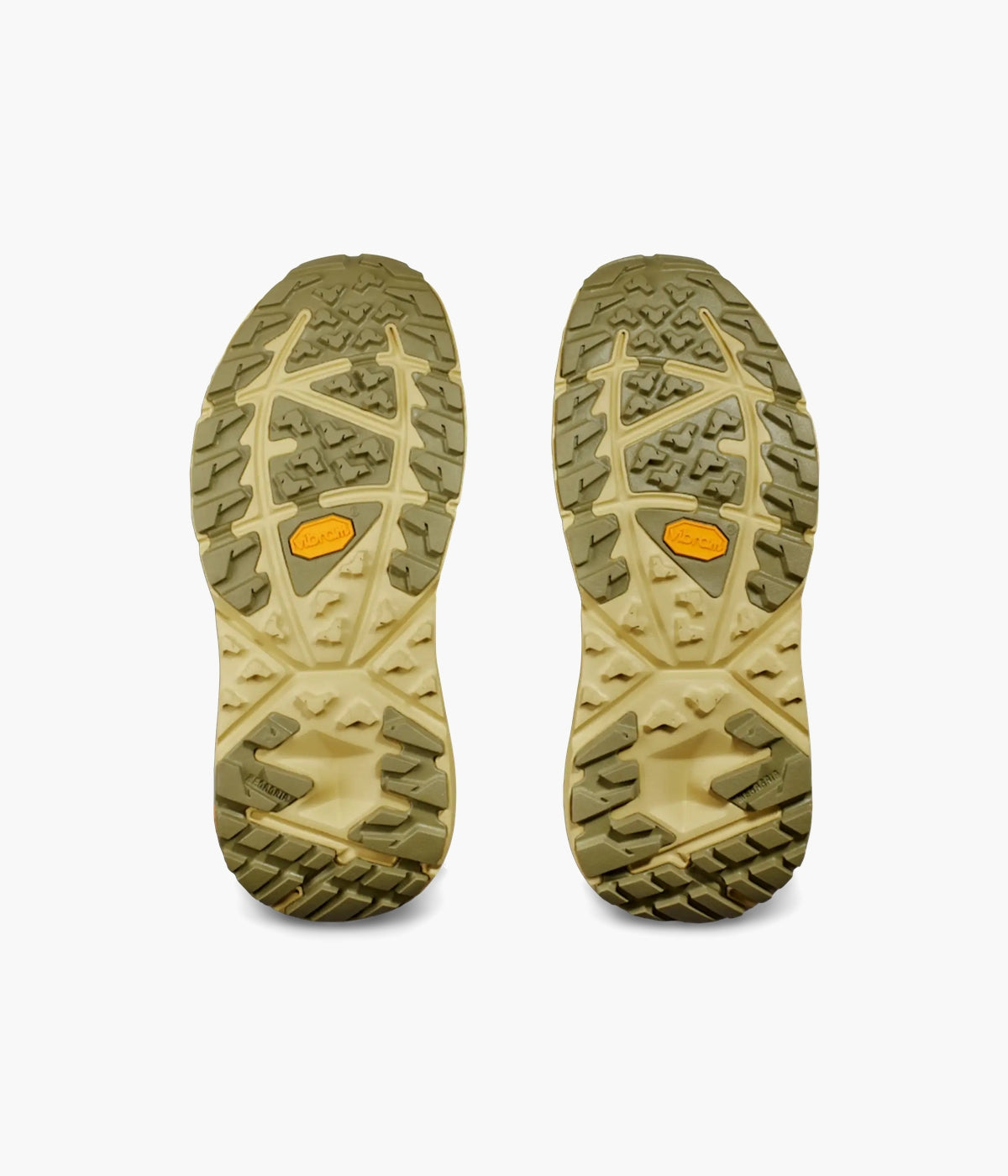 #color_Fennel / Eggnog