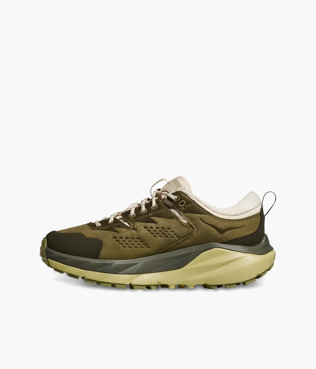 #color_Fennel / Eggnog