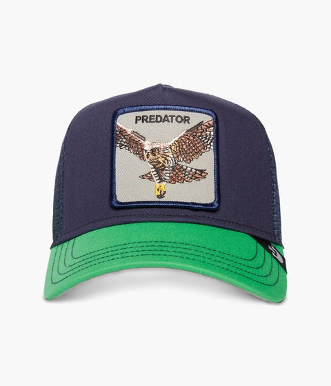 #color_Hawk Fan Navy