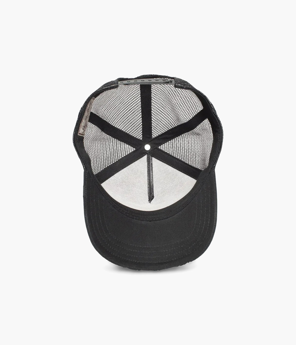 #color_Panther Black