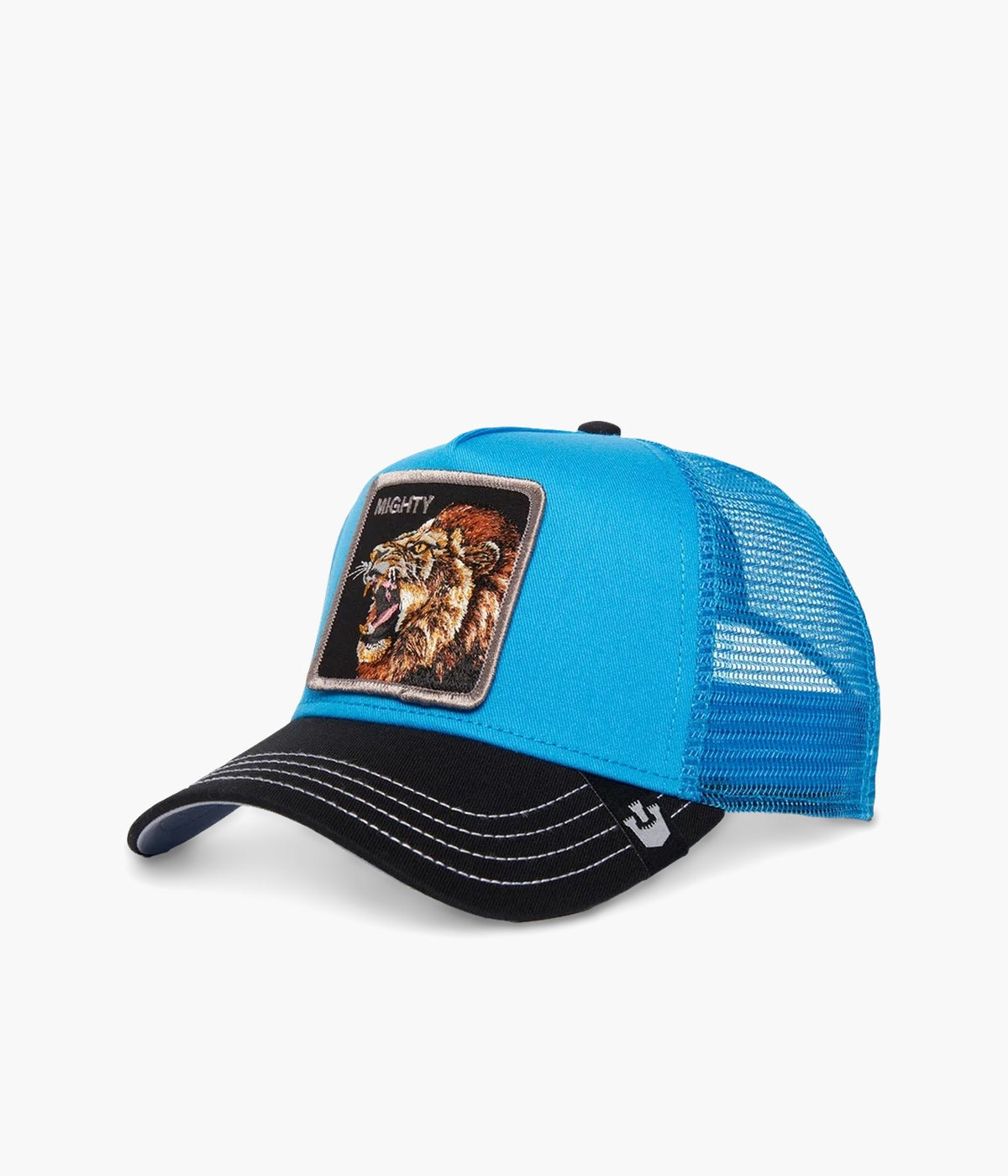 #color_Lion Fan Blue