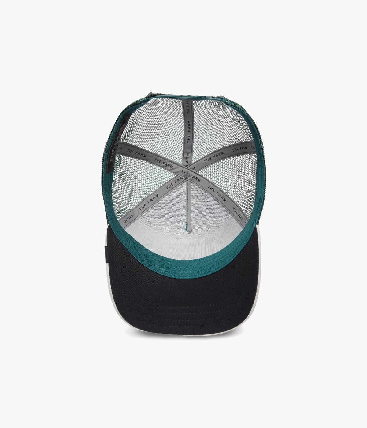 #color_Eagle Fan Emerald