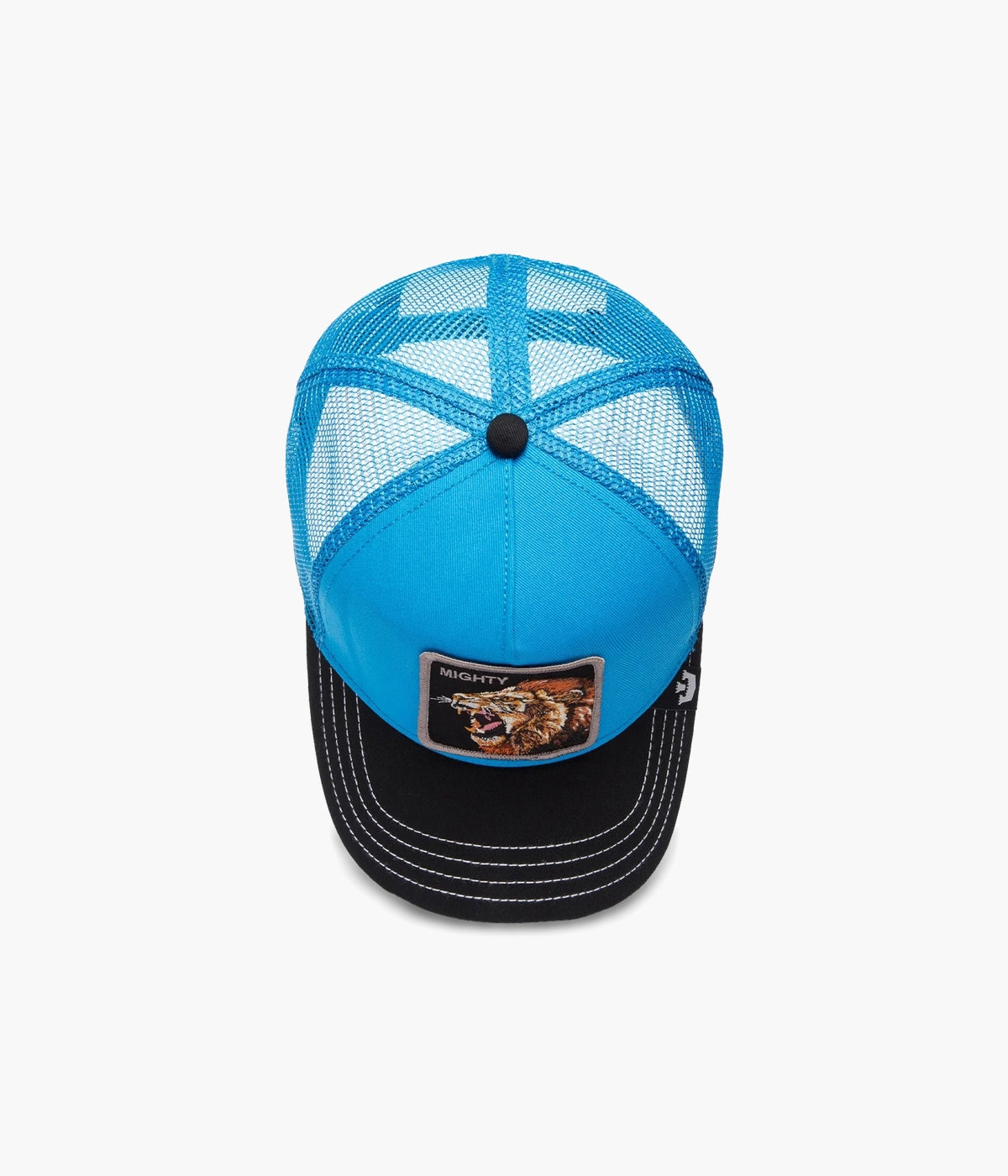 #color_Lion Fan Blue