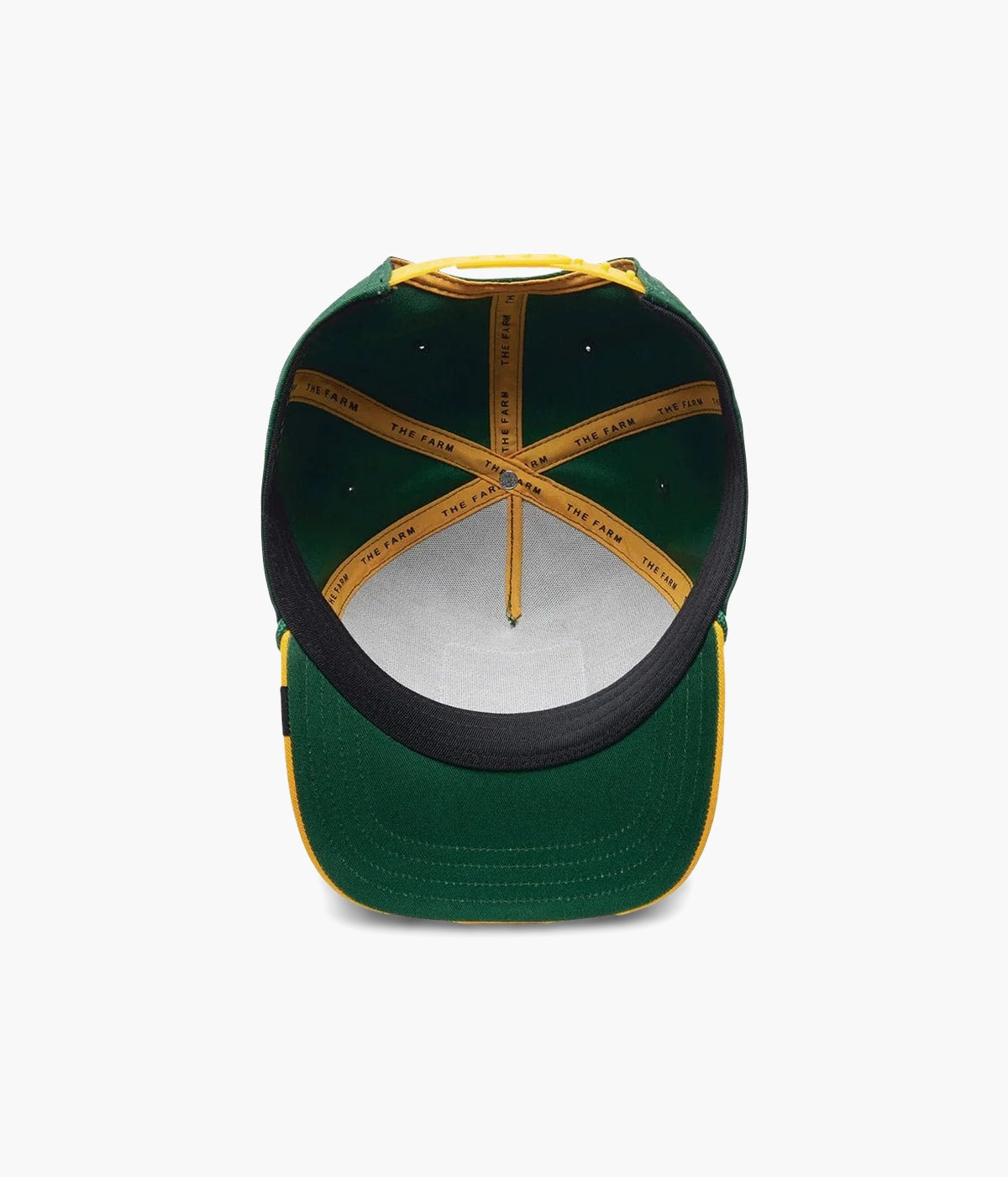 #color_Extra Large Green