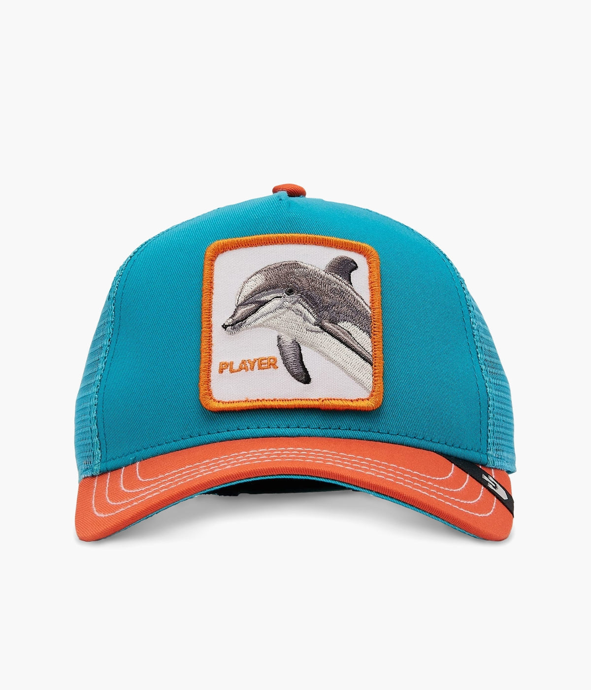 #color_Dolphin Fan Turquoise