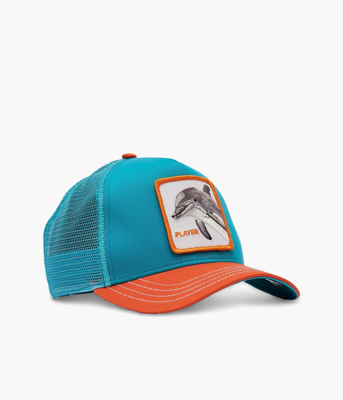 #color_Dolphin Fan Turquoise