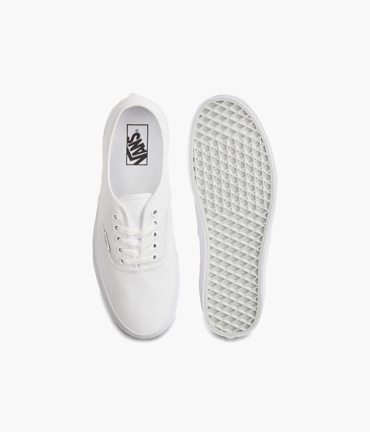 #color_True White