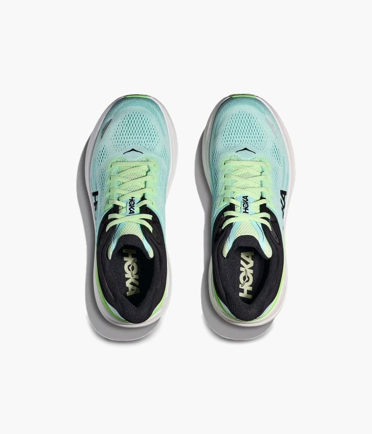 #color_Luna Moth / Blue Spark