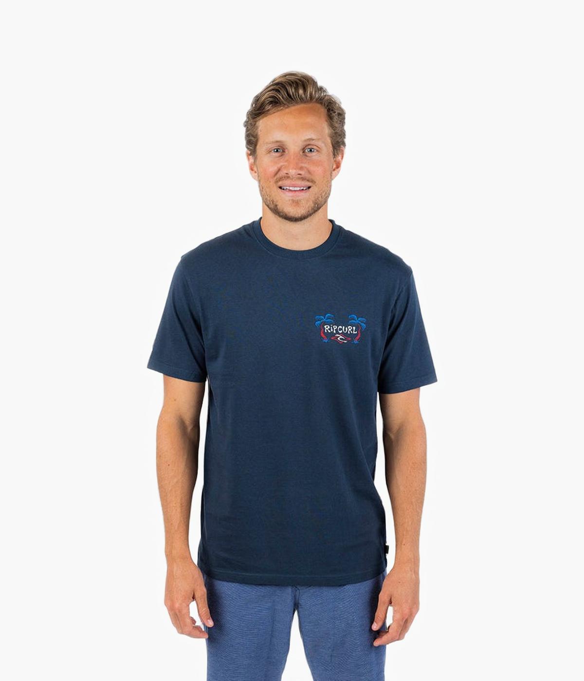 #color_dark navy
