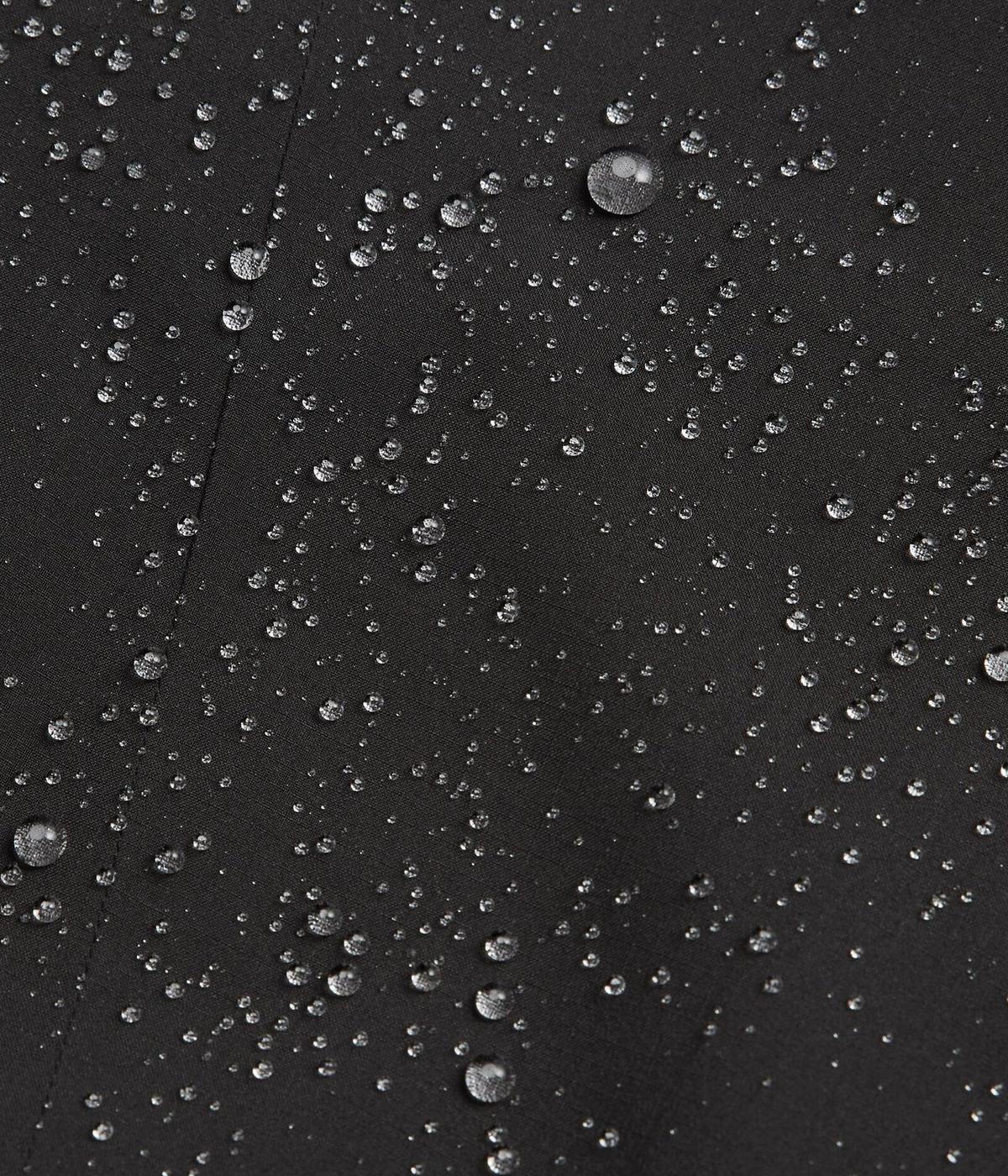 #color_Black Stingray