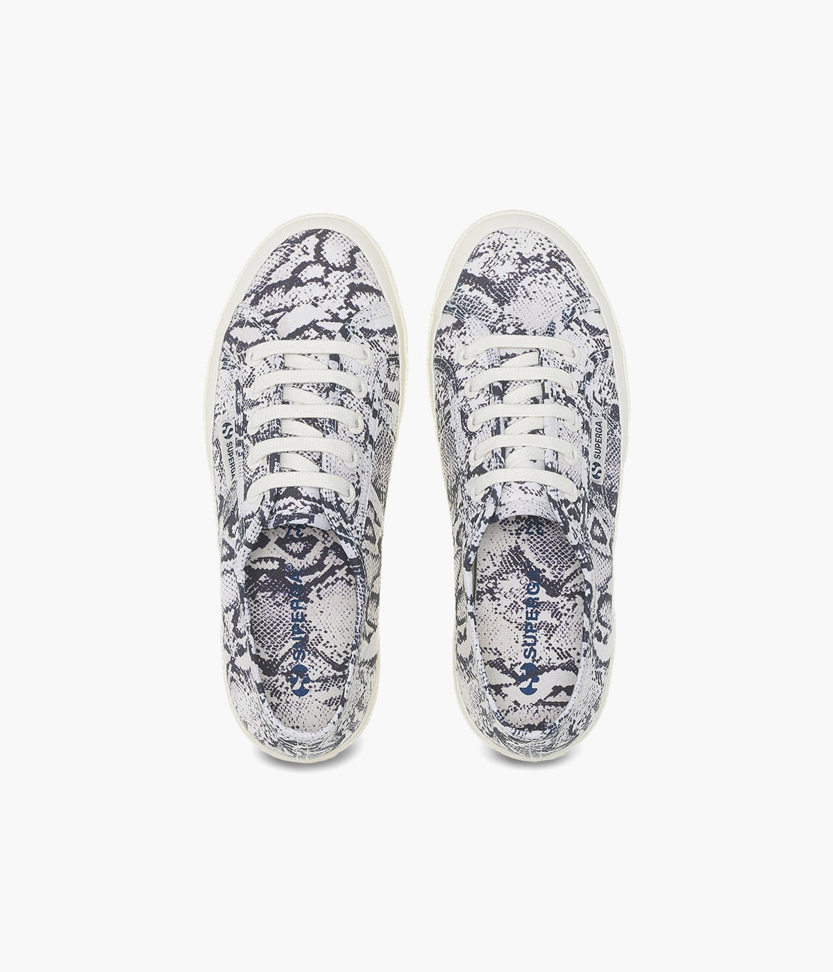 #color_White Avorio Navy Snake