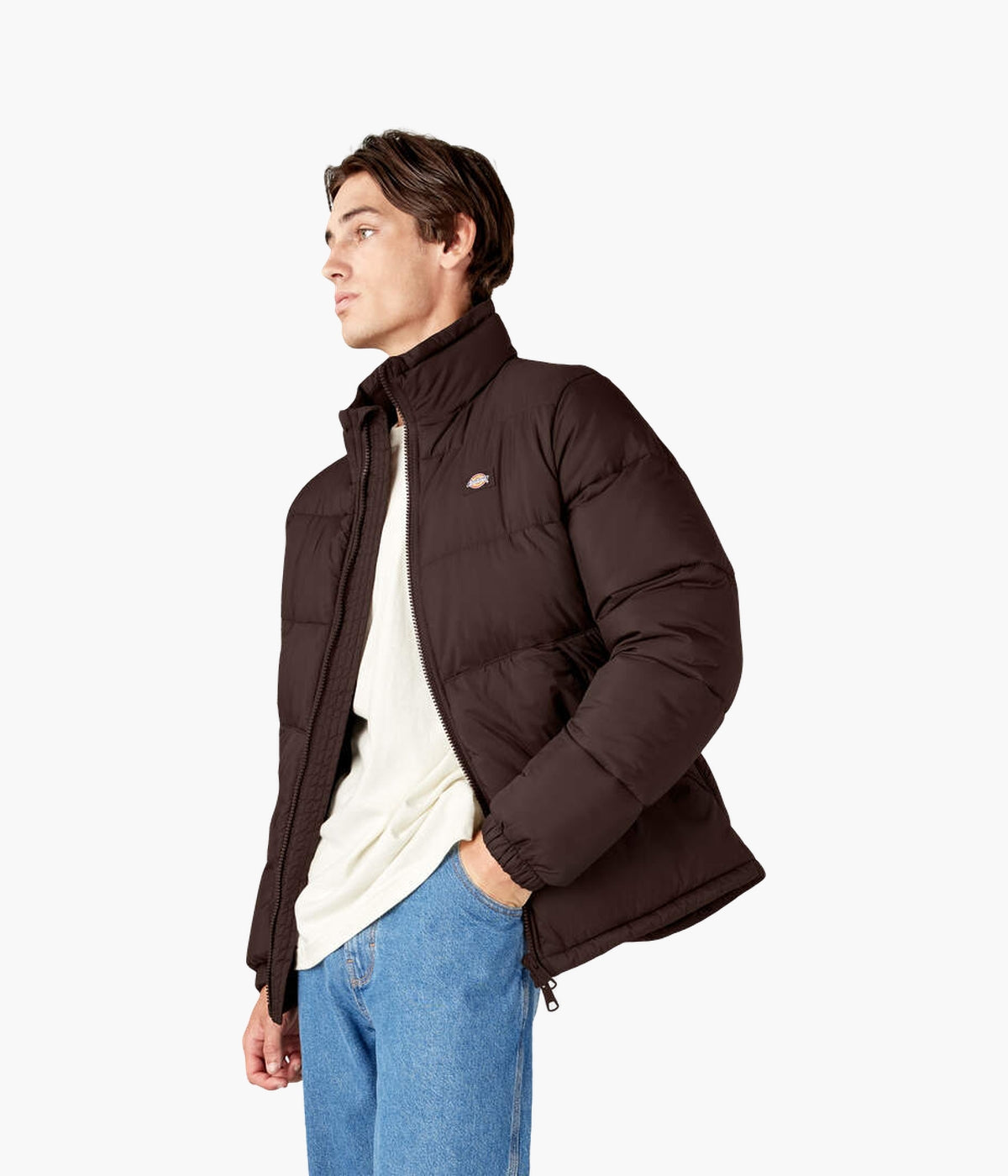 #color_Chocolate Brown