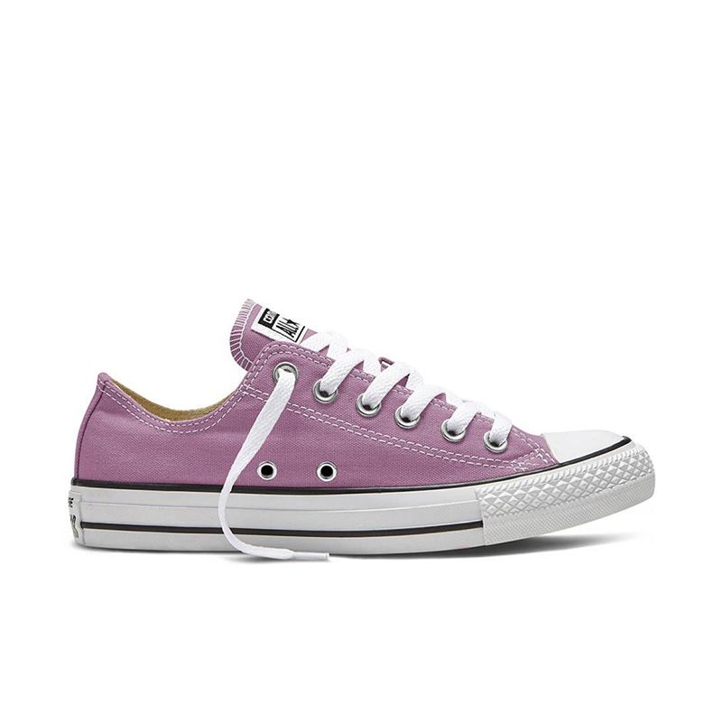 Converse Chuck Taylor All Star Low Top in Powder Purple