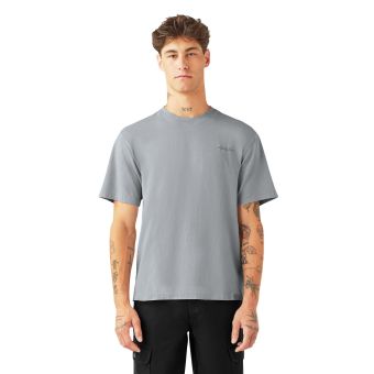 Dickies Plentywood Short Sleeve T-Shirt in Ultimate Grey