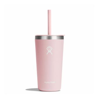 Hydro Flask 20 oz All Around™ Tumbler with Straw Lid in Trillium
