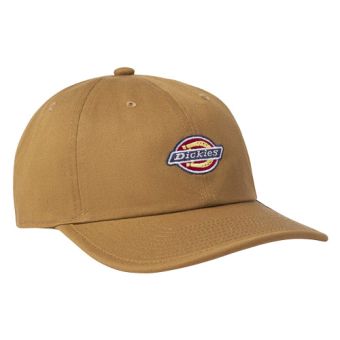 Dickies Low Pro Logo Dad Hat in Brown Duck