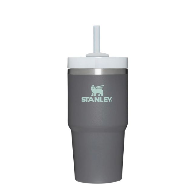 Stanley Quencher H2.0 Flowstate Tumbler 30oz - Orchid on OnBuy