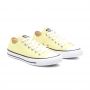 Converse Colour Chuck Taylor All Star Low Top in Light Zitron
