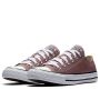 Converse Chuck Taylor All Star Seasonal Low Top in Saddle