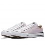 Converse Chuck Taylor All Star Seasonal Low Top in Barely Rose