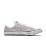 Chuck Taylor All Star Seasonal Colours Low Top in Mouse Grey