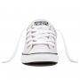 Converse Chuck Taylor All Star Dainty Low Top in Barely Grape/White/Black